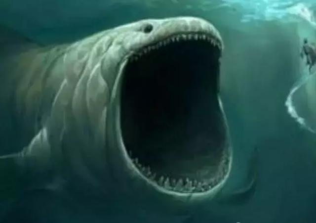 组图让你知道大海深处有多压抑, 让人感到神秘|深海|大海|海洋_新浪网