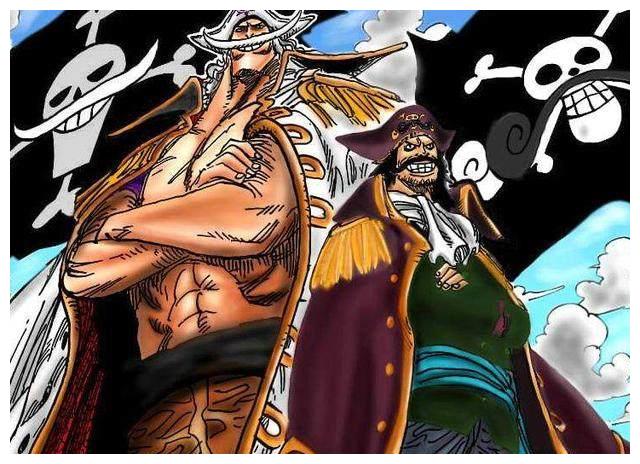 海贼王缇娜视频图片