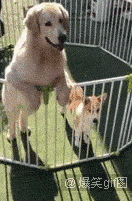 132_201gif 动态图 动图