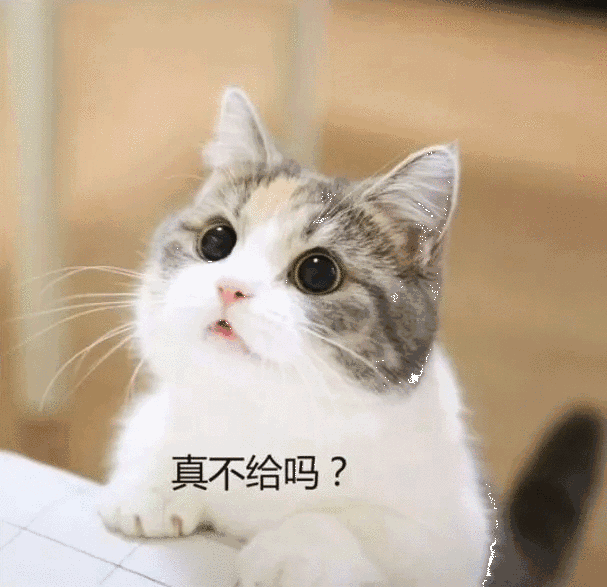 要吃肉肉,可爱猫咪表情包,萌翻了|猫咪|吃肉|包