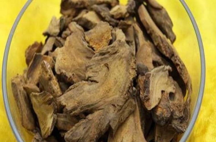 同仁堂与康熙皇帝