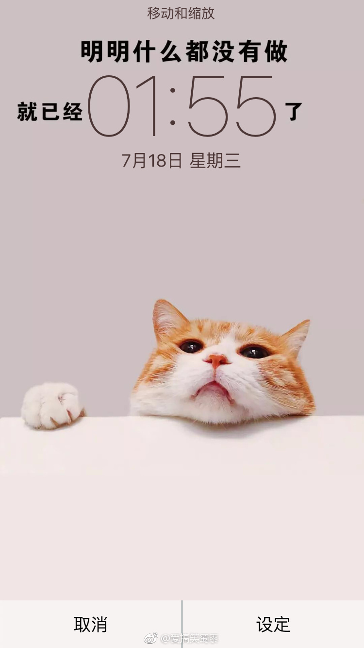 哈哈哈哈哈,这是什么沙雕手机壁纸