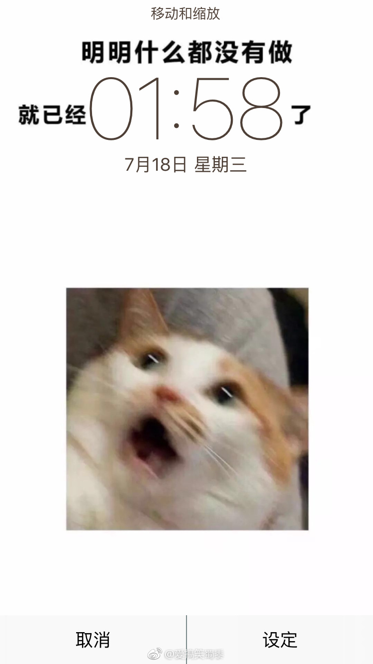 哈哈哈哈哈,这是什么沙雕手机壁纸