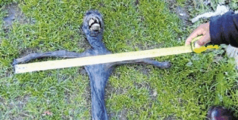 专家证实, 湖北神农架长潭惊现水怪属实。