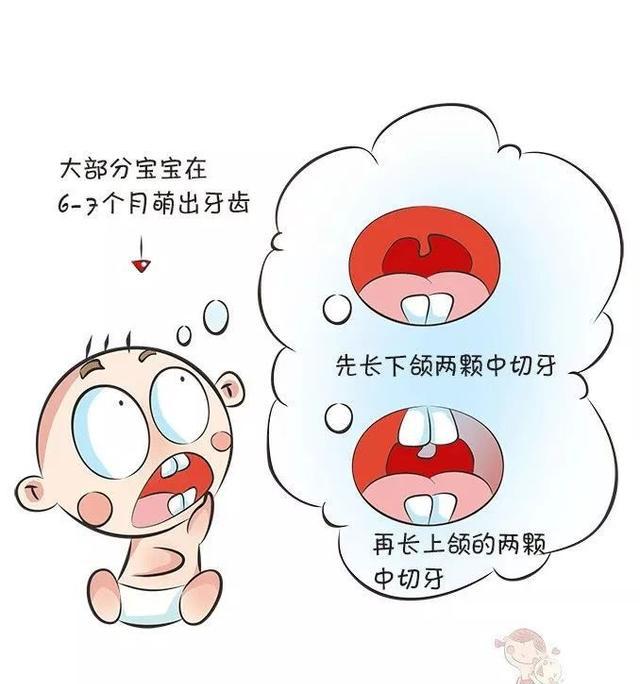 什么时候长牙齿?医生:这份出牙时间表你需要