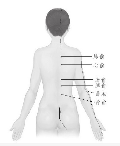 灸除百病的智慧(21)皮肤过敏配点刺放血