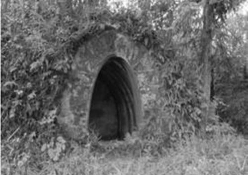 躲在一个猫耳洞一年, 没洗过一次澡全身腐烂, 只