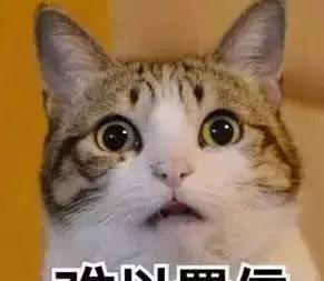 在合肥代缴社保需交多少钱, 赶紧来看看