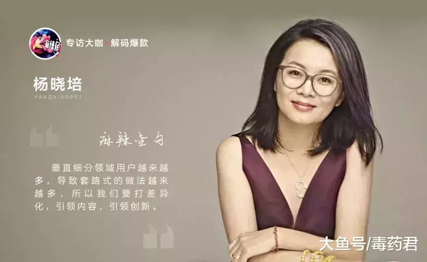专访《扶摇》总制片人杨晓培: 138亿播放量背后的得与