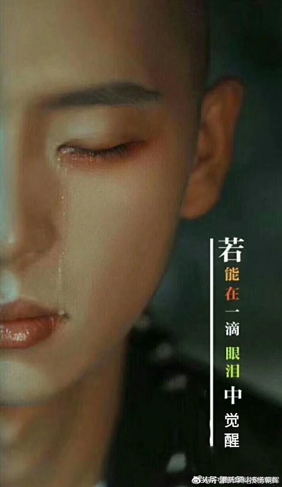 一日一禅丨学会倾听,你会发现世界很美。