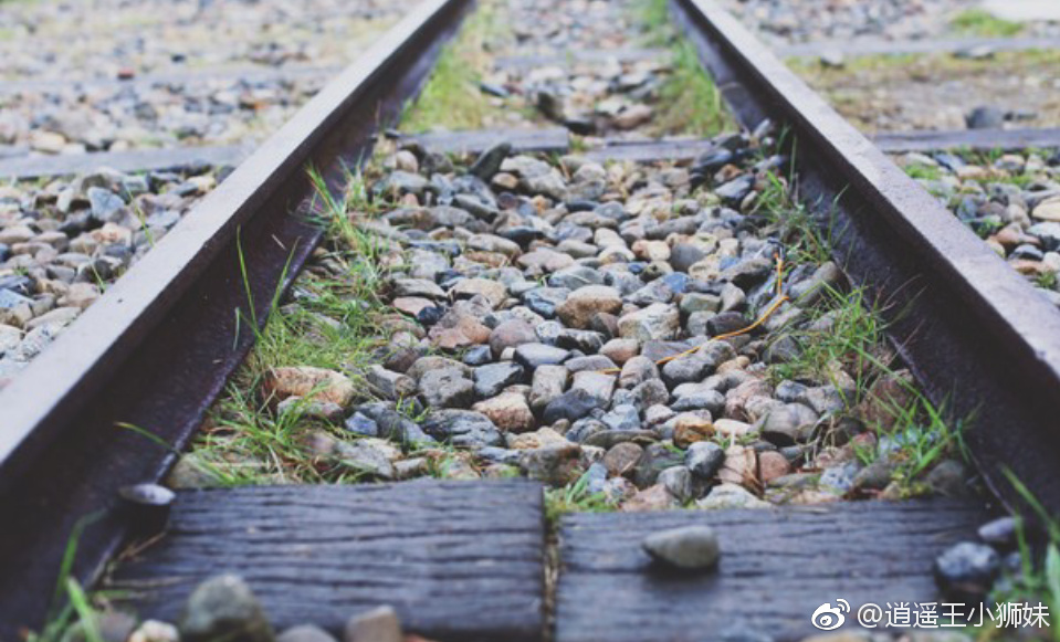 『日本旅行』--京都の樱花日本谚语有樱花七日