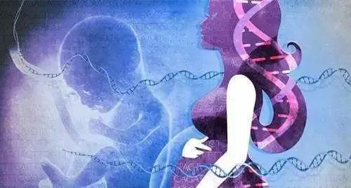 改进无创产前检测(NIPT) 怀孕8周即可检测胎儿性别