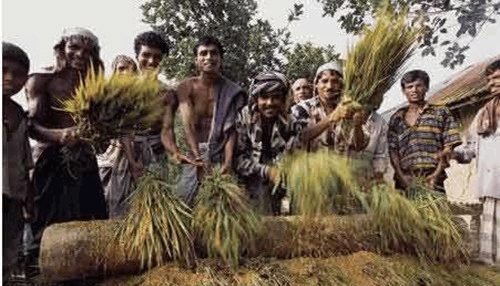 中国一王朝太长命, 将世界三大帝国比下去, 影响