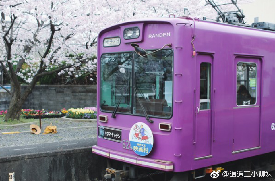 『日本旅行』--京都の樱花日本谚语有樱花七日