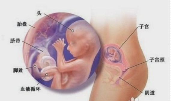 ?反复流产的艾灸调理法取穴(61)