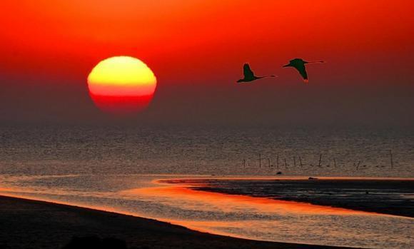 黄河口--中国景色最美诗篇, 母亲河入海前的最