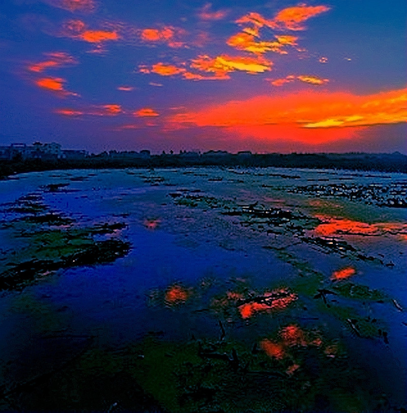 夕阳无限好,人间重晚情。