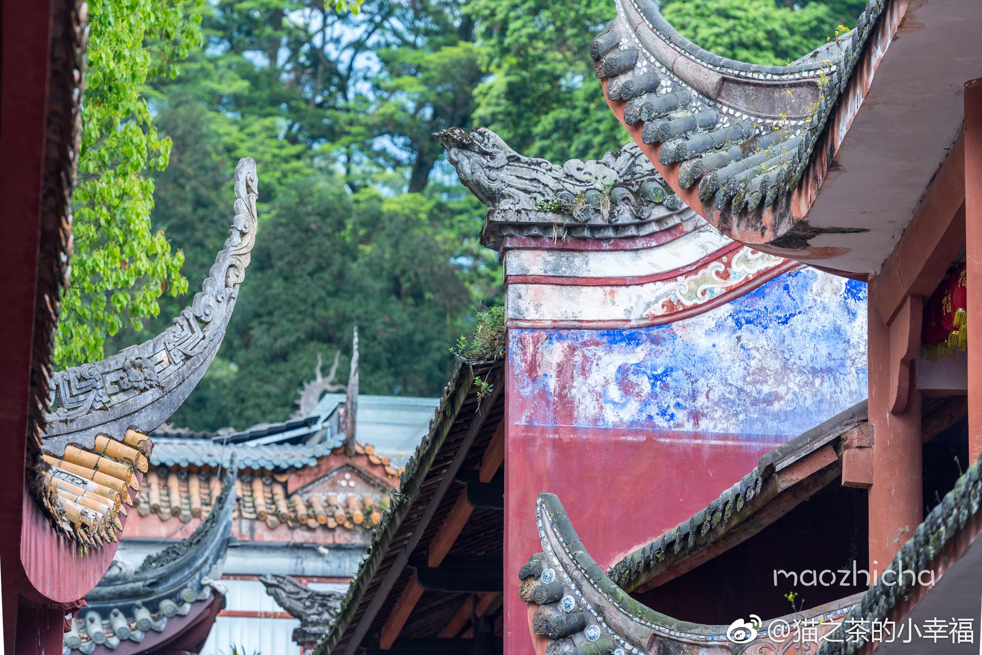 雅安荥经·云峰寺,千年桢楠王下的千年古刹