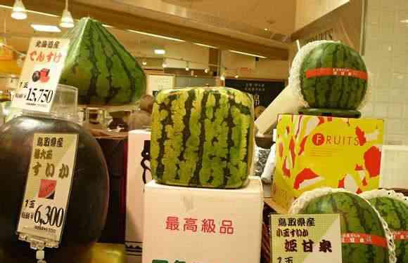 中国游客去日本狂吃自助餐，商家：为什么不吃贵的只吃便宜的？