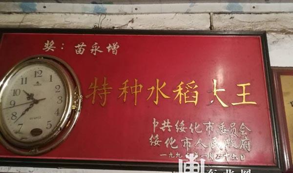 “寒地香稻之父”苗永增:安身简陋农居 守望试验田