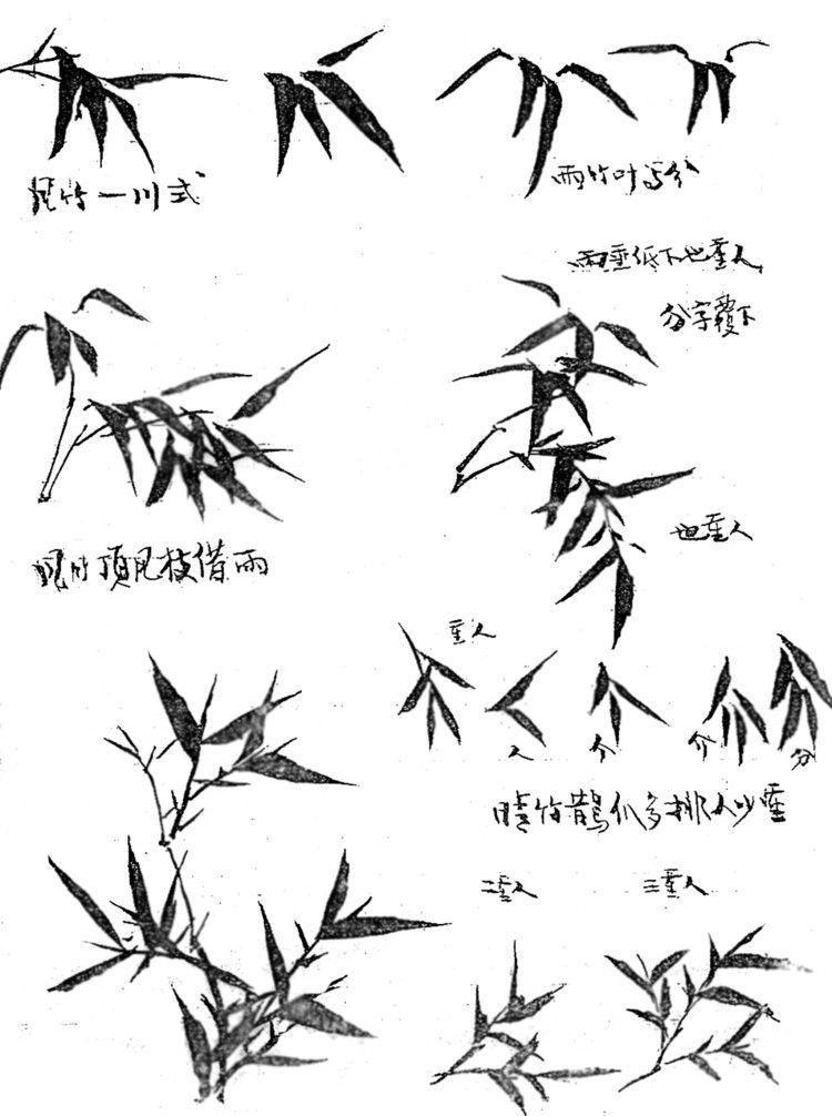 国画基础技法: 如何画竹子