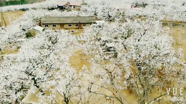 三千人口的村_人口普查图片(2)