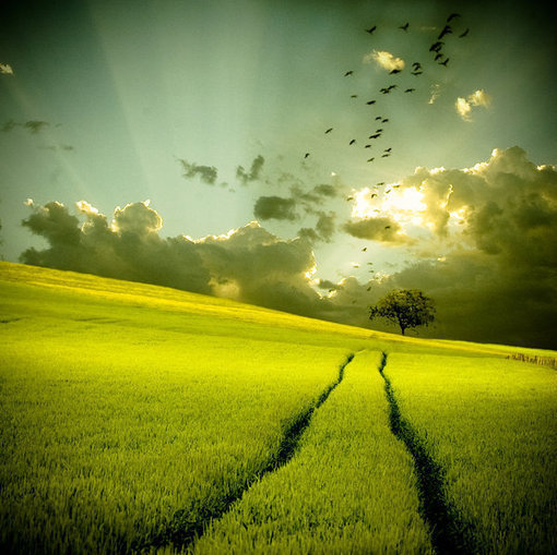 每天告诉自己要努力,即使看不到希望,也依然相