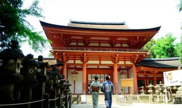 到奈良春日大社和小鹿来一次亲密接触吧