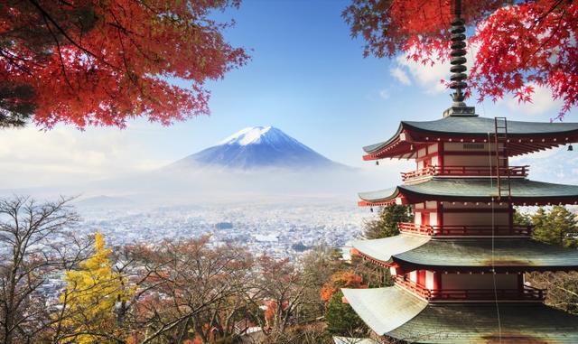 浅草寺院内的五重塔等著名建筑物和史迹,观赏景点数不胜数.
