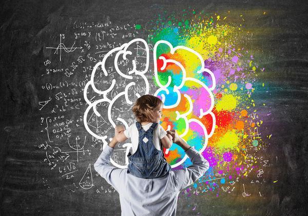 婴儿的大脑发育, 宝宝的大脑发育全过程