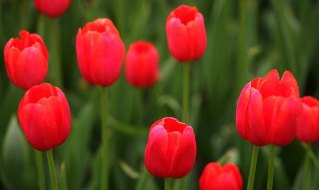 为什么男人特别讨厌女人的猜忌?