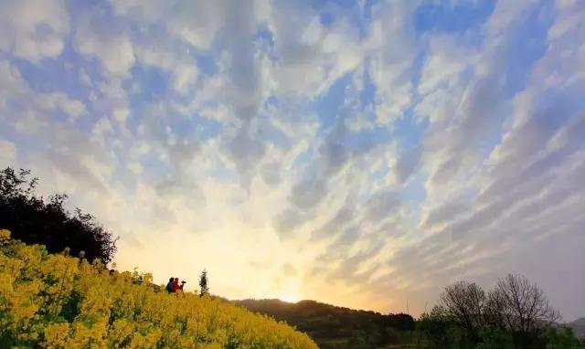 终于来了!西成高铁试运行,兰州到成都仅需6小