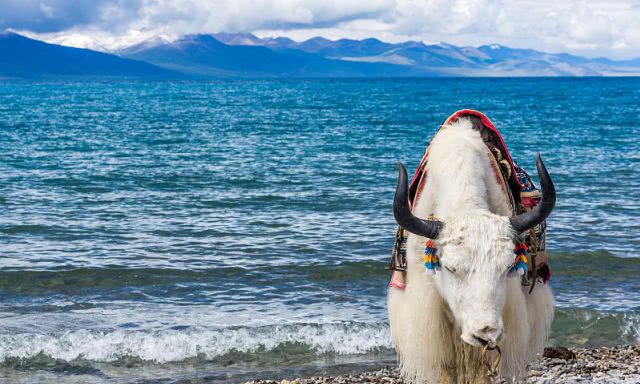 中国面积最大的3个省,加起来 占了半个中国!