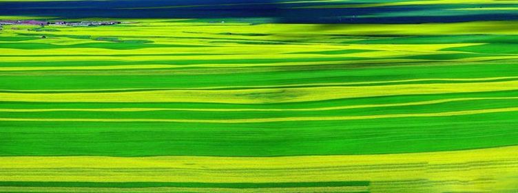 祁连山:沙漠中的一片芳华