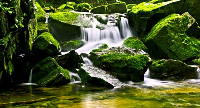 亚洲最大的苔藓石群森林公园:本溪汤沟绿石谷国家森林公园|汤沟|苔藓