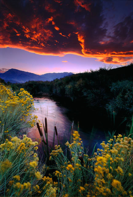 每天告诉自己要努力,即使看不到希望,也依然相