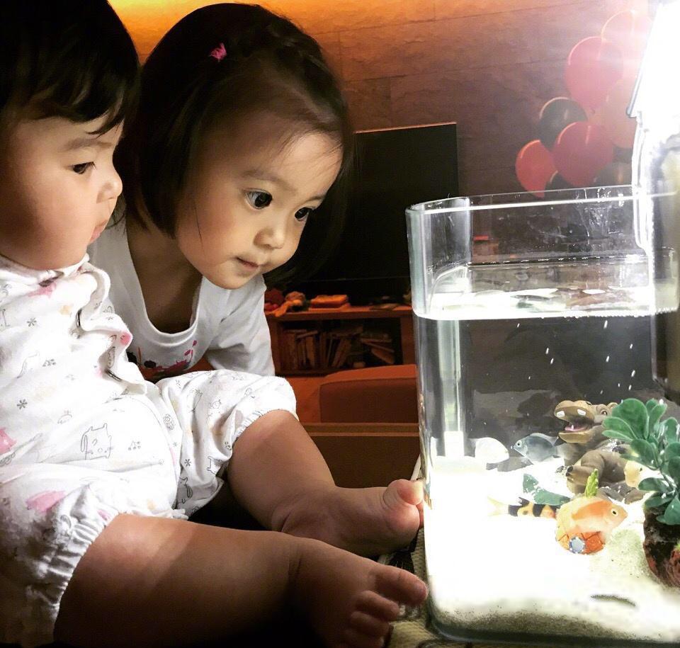 贾静雯给咘咘庆祝两岁生日, 父母送女儿贴心又