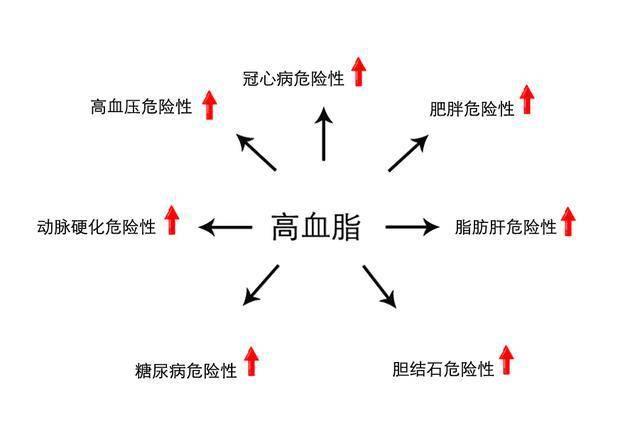 如何通过饮食控制高脂血症?这篇文章介绍得很详细!