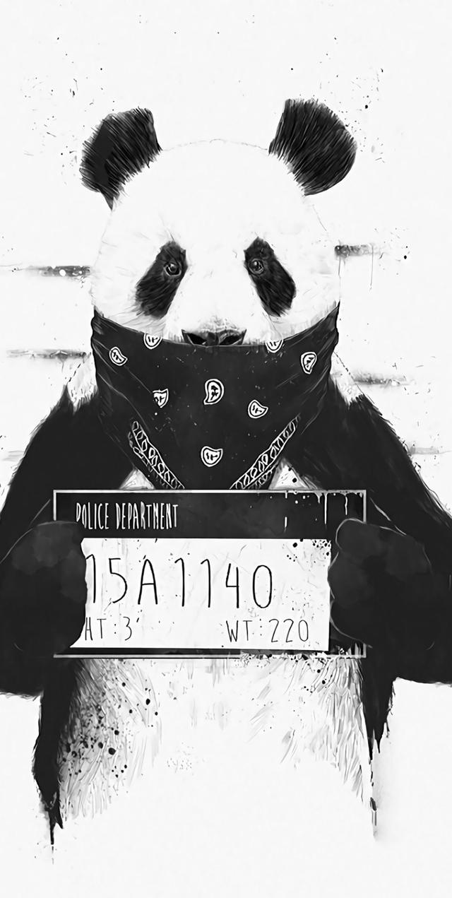 iphonex高清全面屏壁纸-猫狗萌宠篇,不快点收藏的话就没咯!