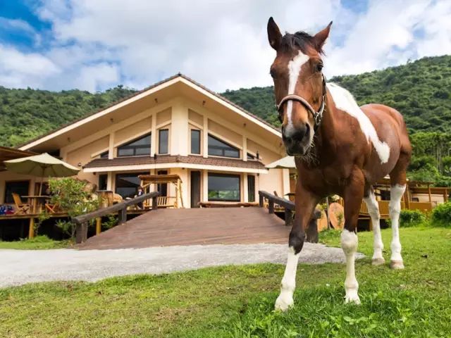 39家中国最美民宿,此生必住