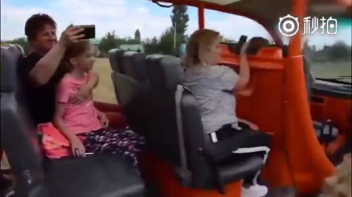 近日，俄罗斯一野生动物园，游客被一只冲上敞篷车撒娇的母狮子吓坏了！它对着...