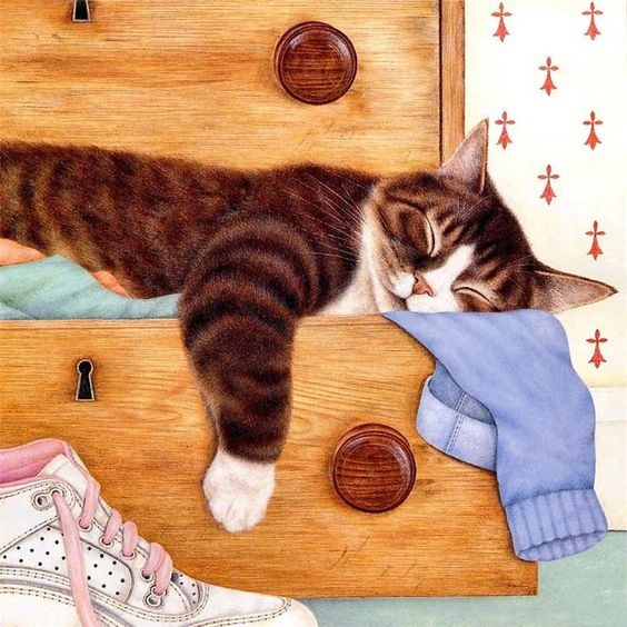 早上好,来自插画师ann mortimer 笔下的猫咪
