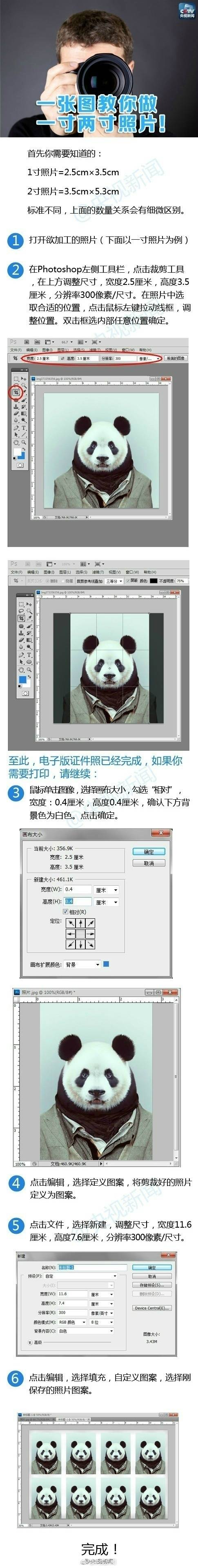 你需要知道的一寸、两寸照片标准尺寸