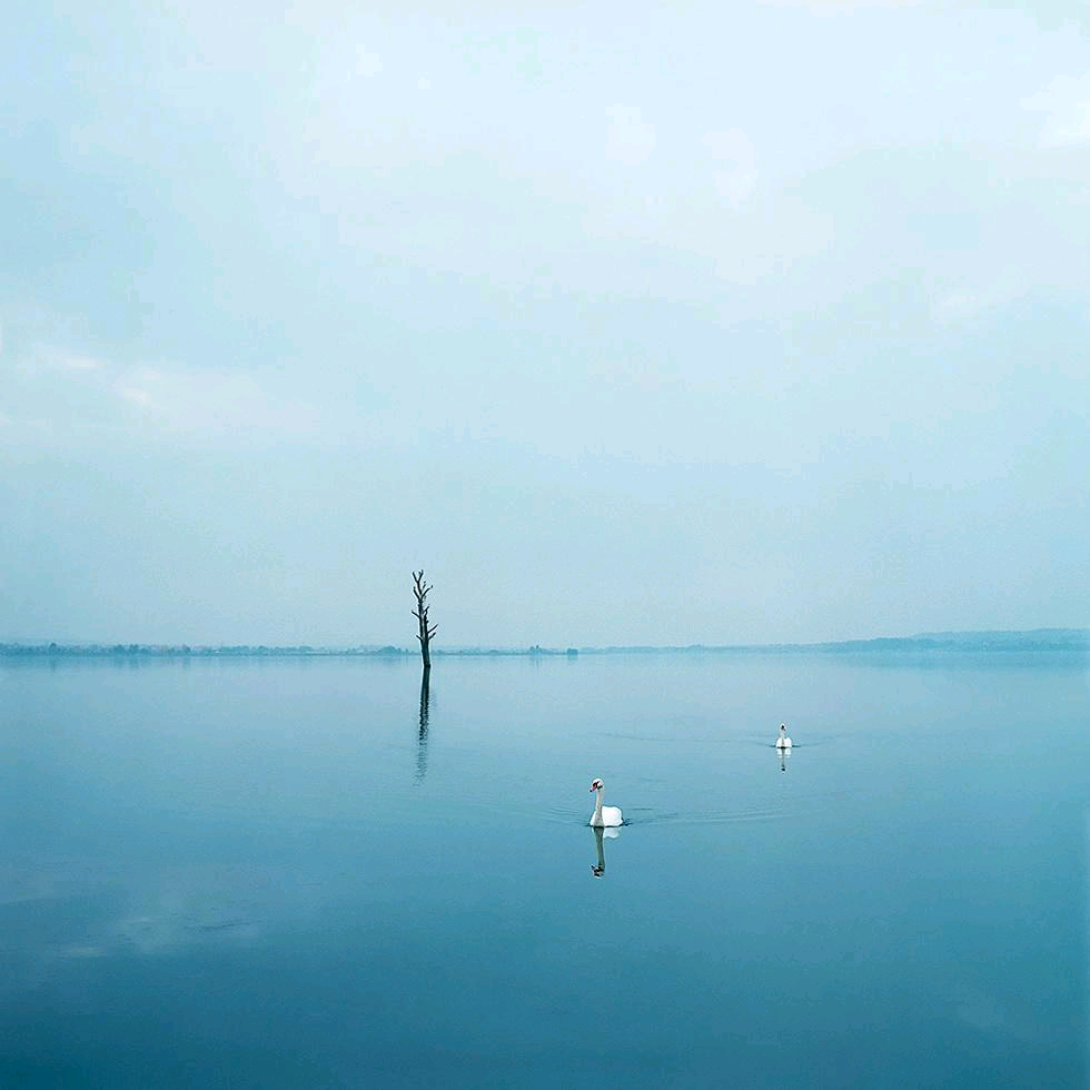 早安‖物有无限好,蓝青又出青