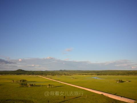 驿路梨花处处开，雷锋精神代代传