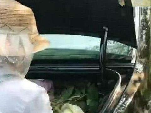 最新最全的“劳斯莱斯“资讯都在这里，不容错过