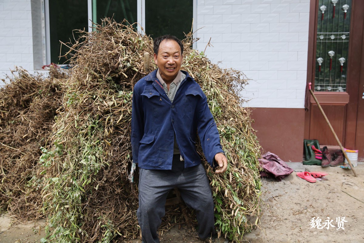 汉子大山里收庄稼一次背回一座山