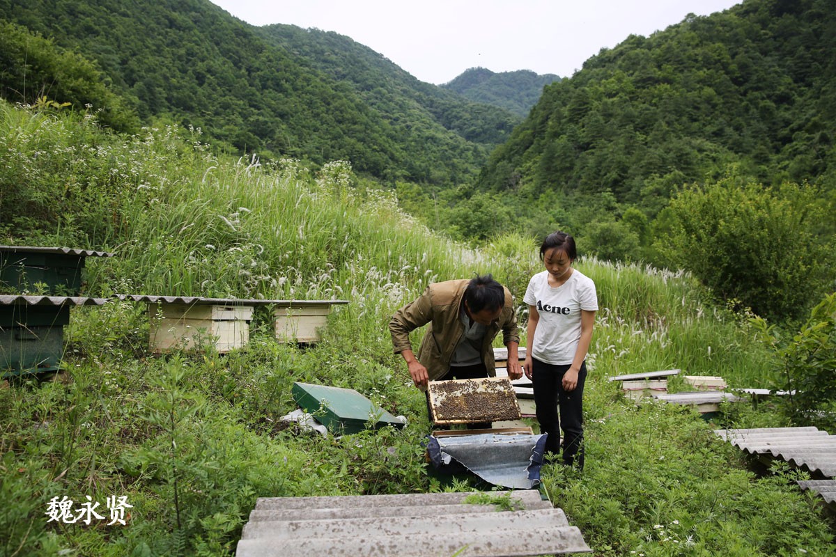 百吨巨石砸中房人无恙 靠养蜂重盖新房供儿女上大学