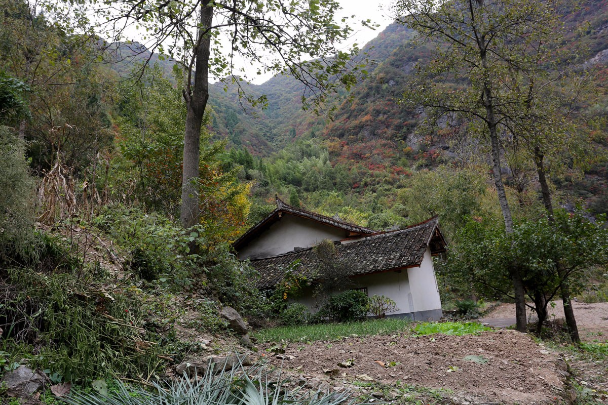 秦岭大山里的八旬老人 住着土坯房过着清净的日子
