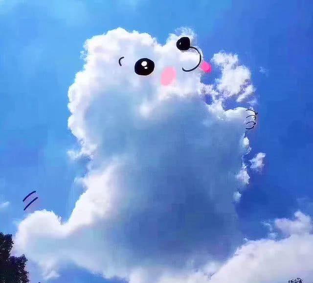 网友抬头看天被瞬间萌哭,天上竟然这么多狗狗